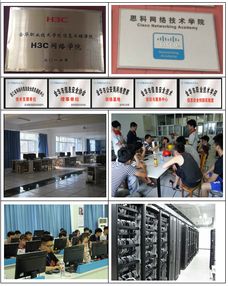 计算机网络技术 连接世界的数字桥梁